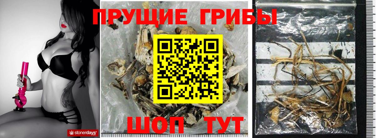 Галлюциногенные грибы мухоморы Георгиевск